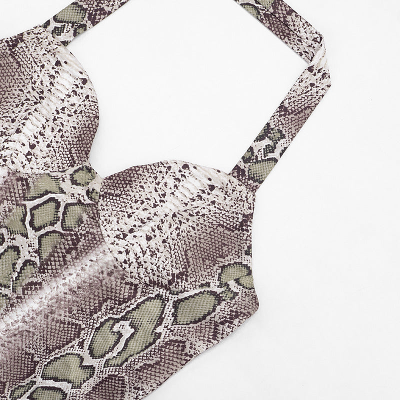 Snake Print Two-Piece Set - Halter Crop Top & Low Rise Shorts Matching Set